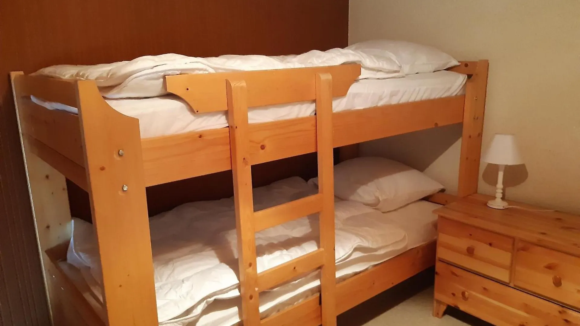 Studio Mezzanine 4 Pers, Parking, Pres Centre Chatel - Fr-1-676-213 0*,  France