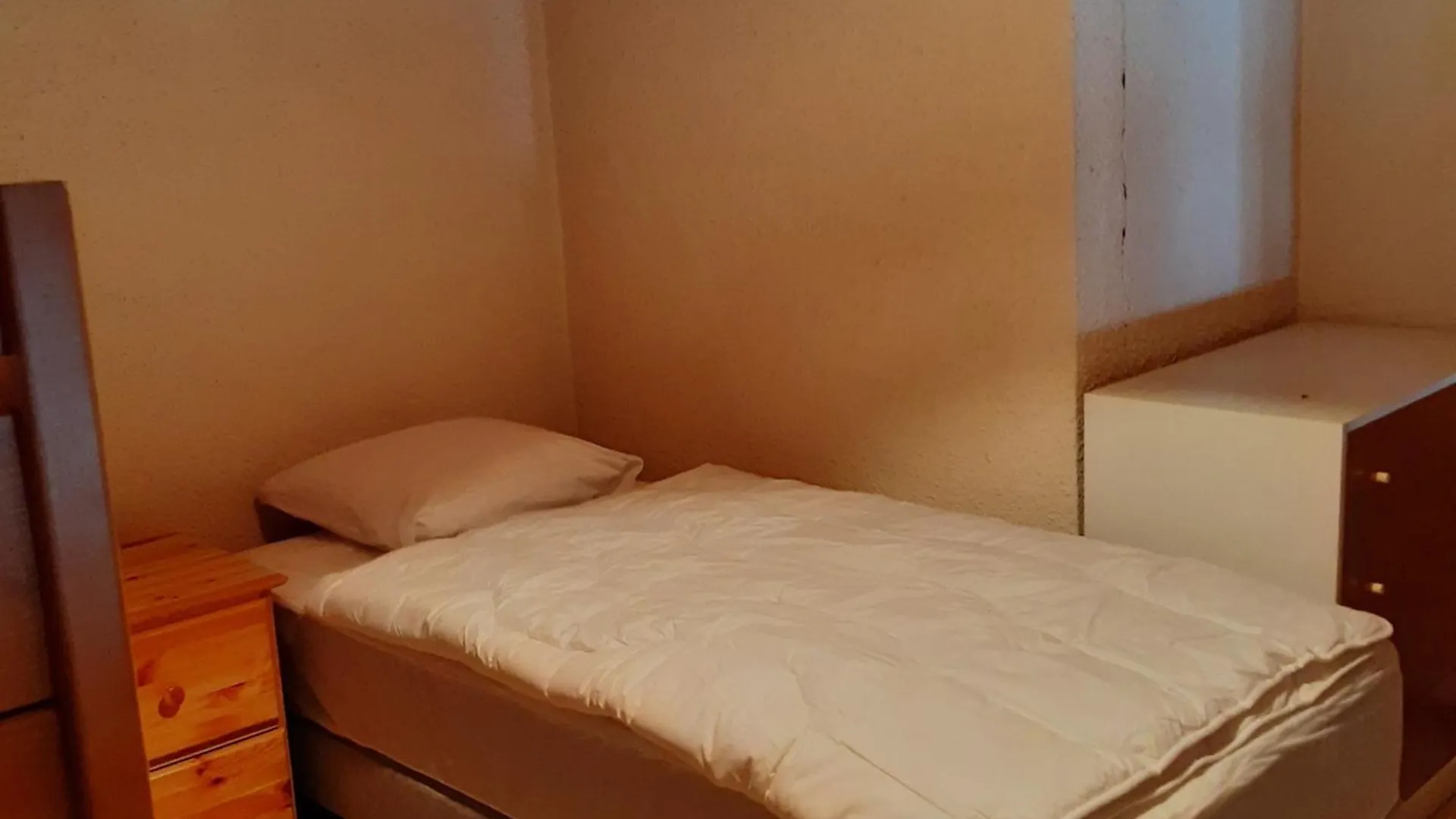 Studio Mezzanine 4 Pers, Parking, Pres Centre Chatel - Fr-1-676-213 Apartment
